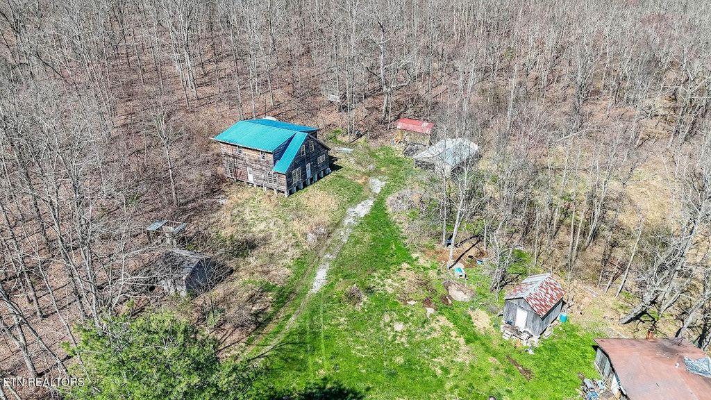 Photo of 245 Raenne Drive, Spring City, TN 37381 (MLS # 1333383)