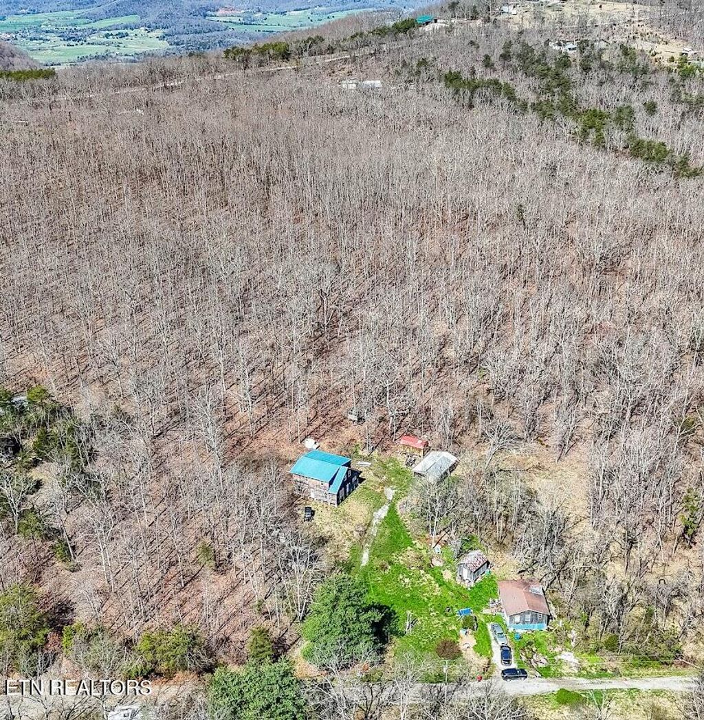 Photo of 245 Raenne Drive, Spring City, TN 37381 (MLS # 1333383)