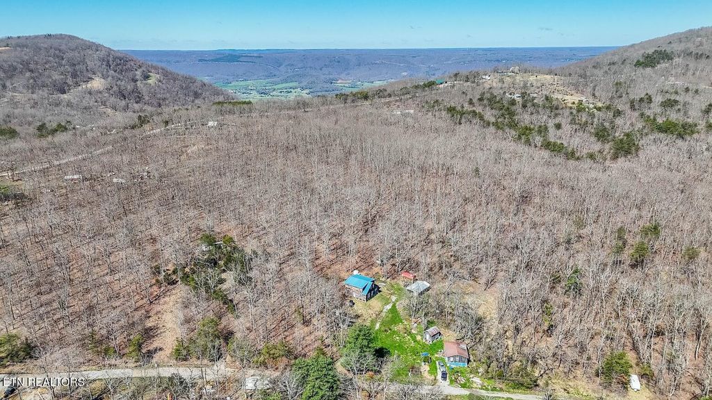 Photo of 245 Raenne Drive, Spring City, TN 37381 (MLS # 1333383)