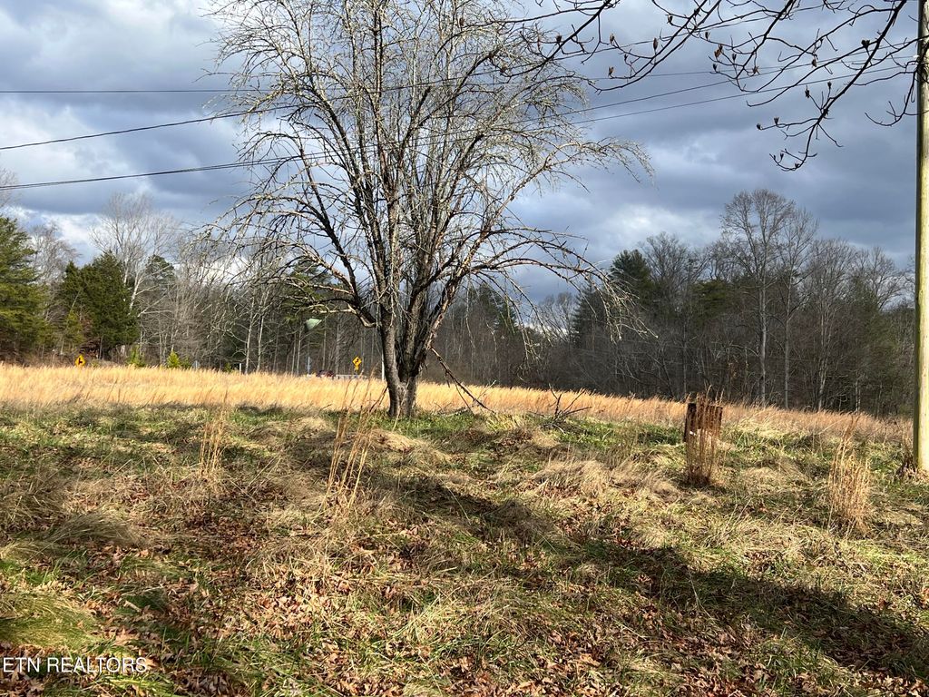 Photo of 1600 Paint Rock Rd, Oneida, TN 37841 (MLS # 1329923)