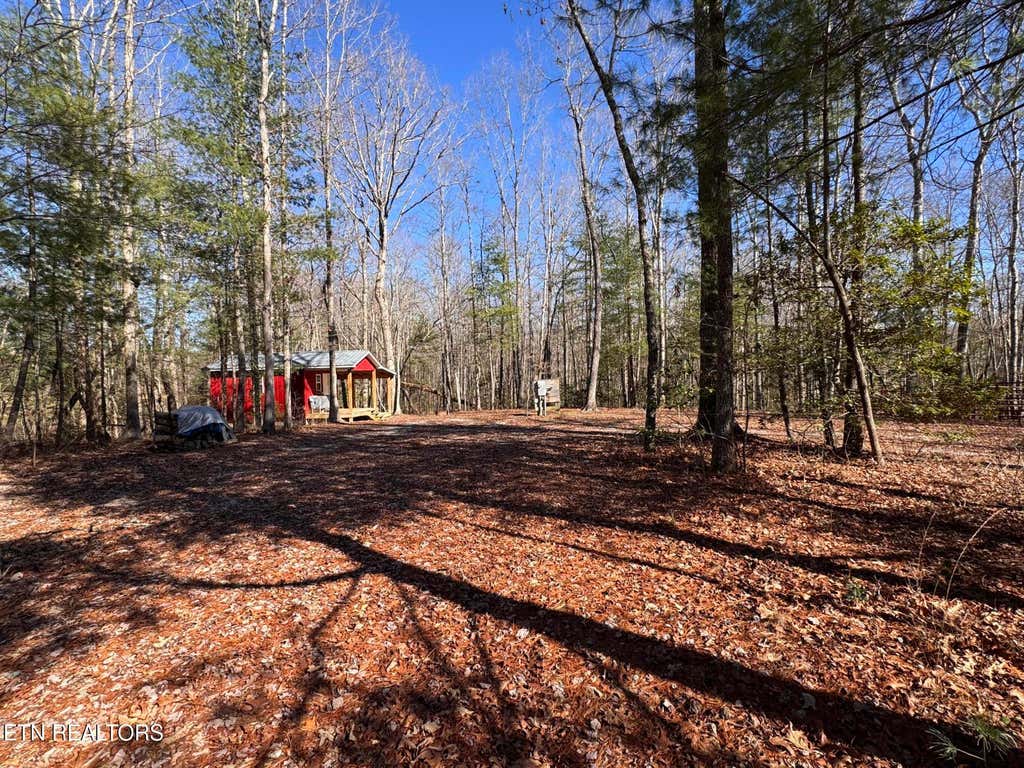 Photo of 566 Double Arch Retreat Rd, Allardt, TN 38504 (MLS # 1331716)