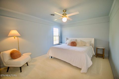 Tiny photo for 295 Savannah Park Drive, Maryville, TN 37803 (MLS # 1330259)