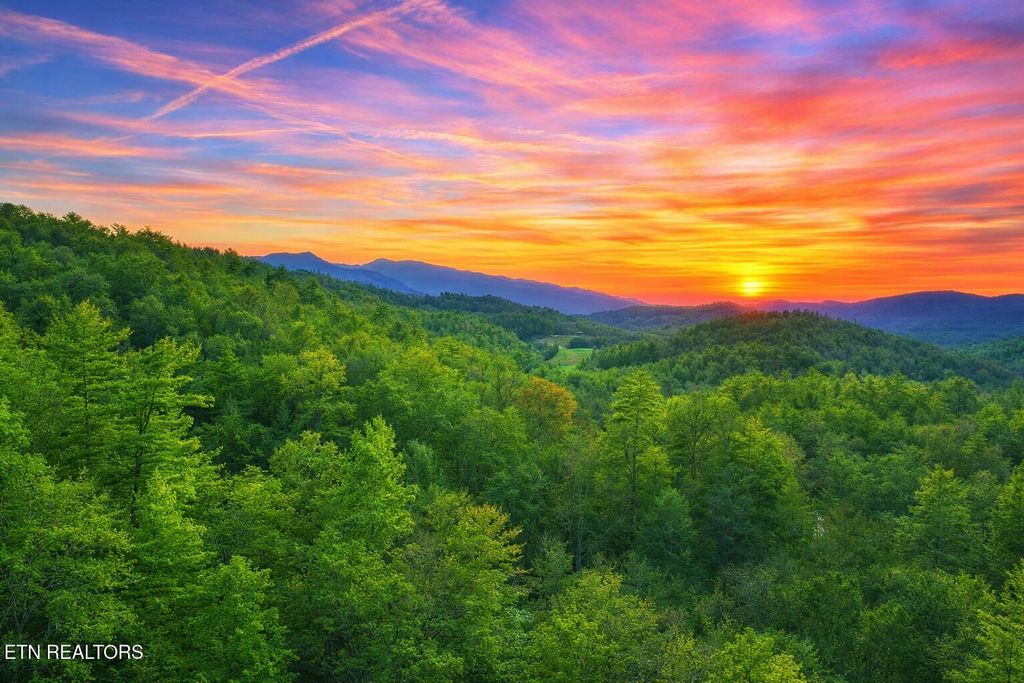 Photo of 41 Black Maple Way, Del Rio, TN 37727 (MLS # 1336561)