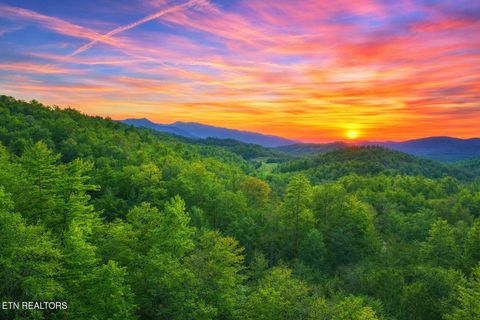 Photo of 41 Black Maple Way, Del Rio, TN 37727 (MLS # 1336561)