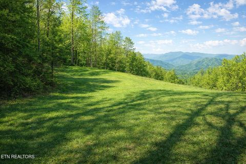 Photo of 41 Black Maple Way, Del Rio, TN 37727 (MLS # 1336561)