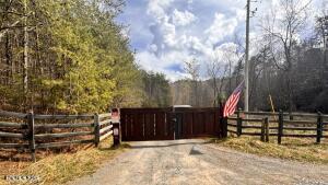 Lot 41 Black Maple Way