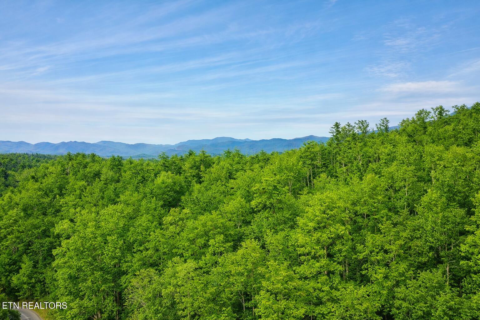 Lot 41 Black Maple Way