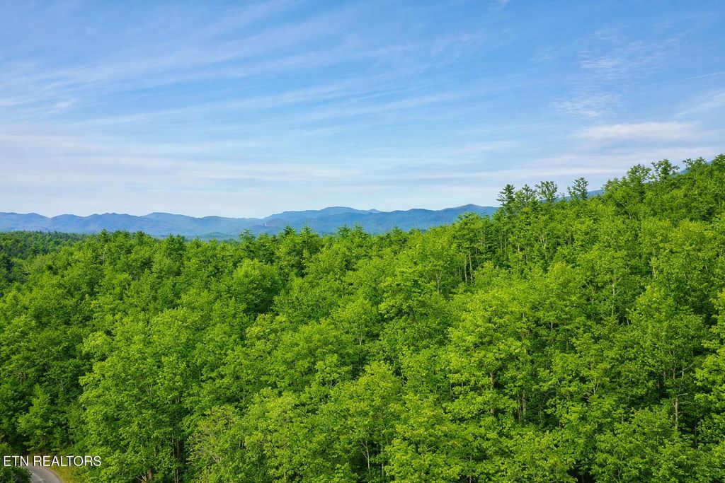 Photo of 41 Black Maple Way, Del Rio, TN 37727 (MLS # 1336561)