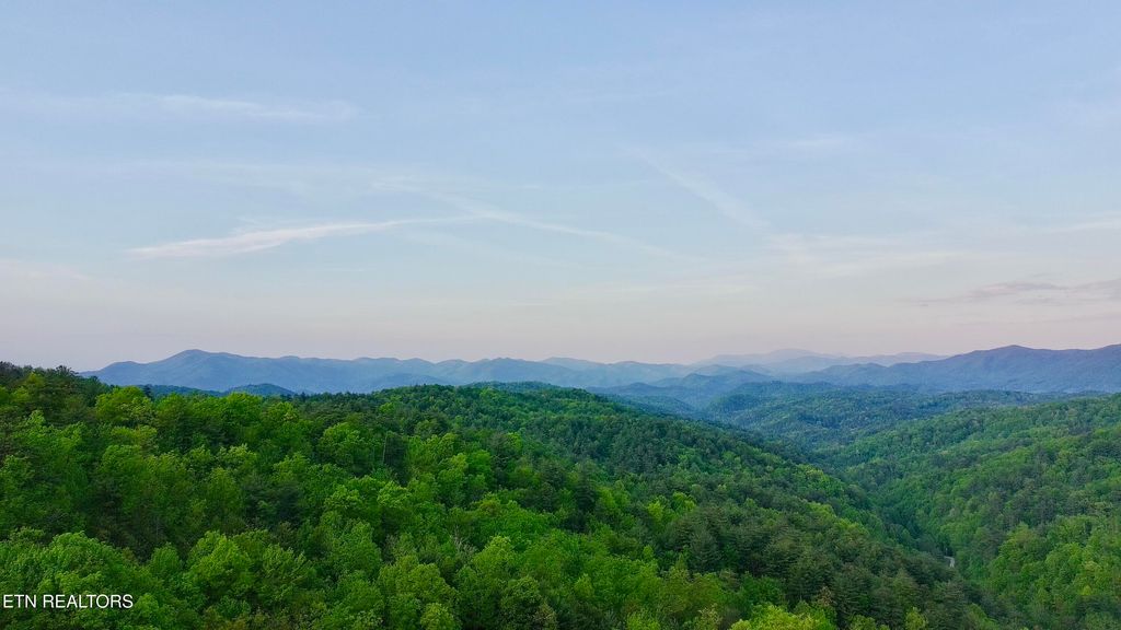 Photo of 41 Black Maple Way, Del Rio, TN 37727 (MLS # 1336561)