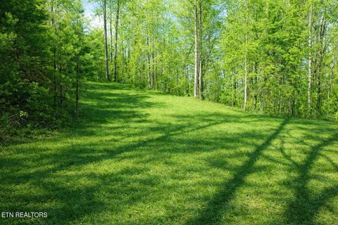 Photo of 41 Black Maple Way, Del Rio, TN 37727 (MLS # 1336561)