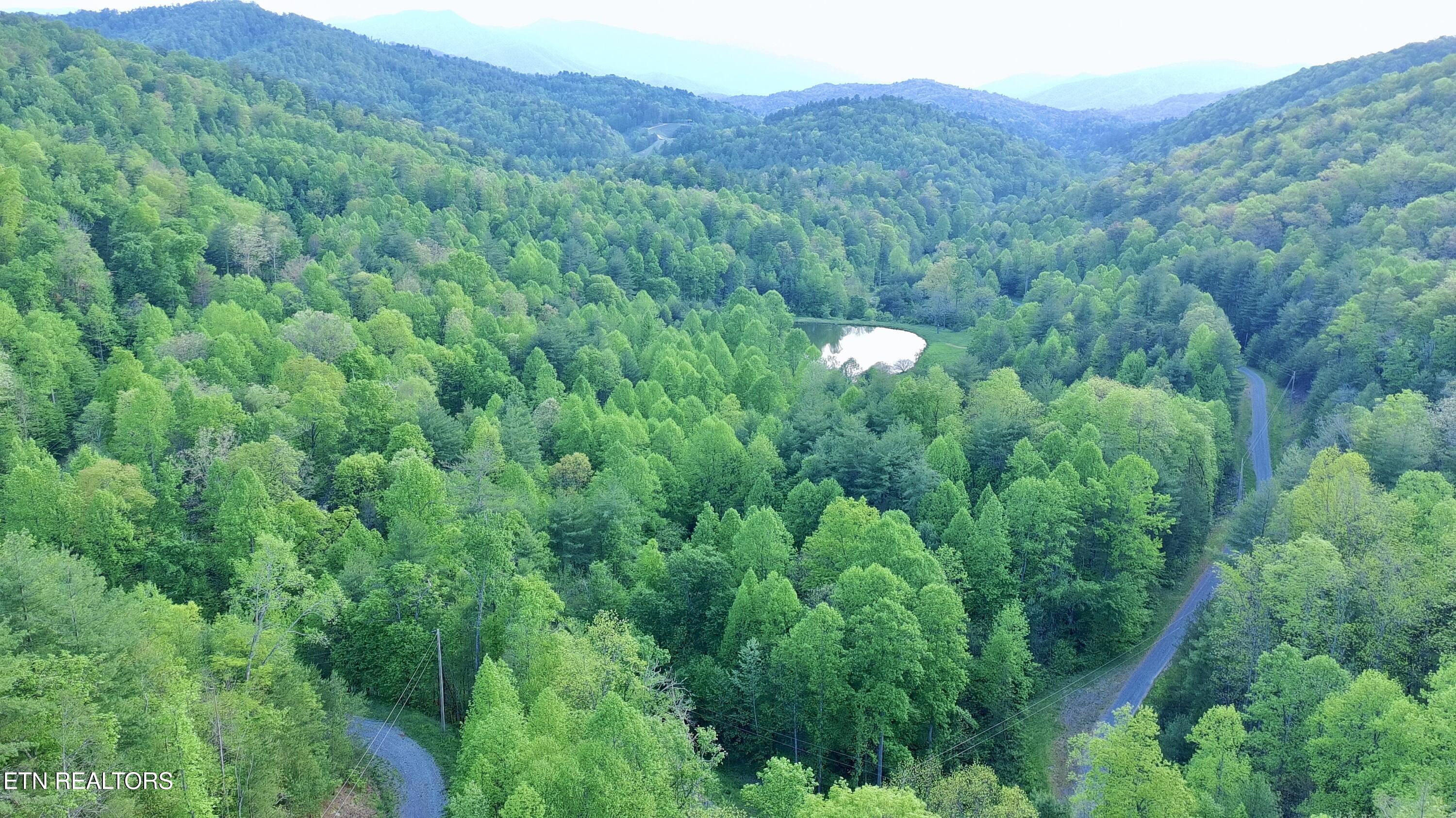 Lot 41 Black Maple Way