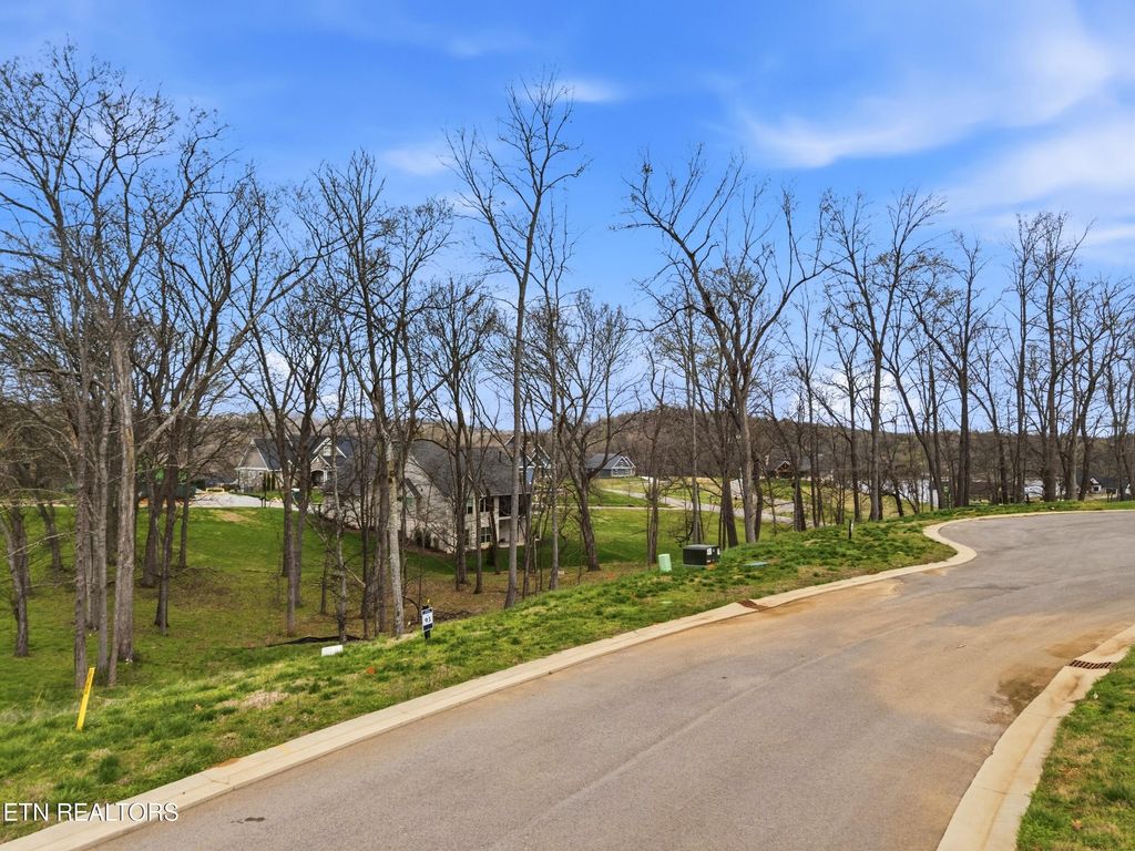 Photo of 161 Keho Court, Loudon, TN 37774 (MLS # 1333681)