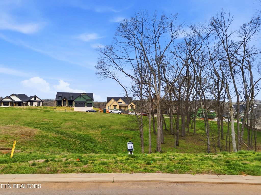 Photo of 161 Keho Court, Loudon, TN 37774 (MLS # 1333681)