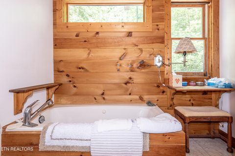 Tiny photo for 311 Domar Drive, Townsend, TN 37882 (MLS # 1303486)