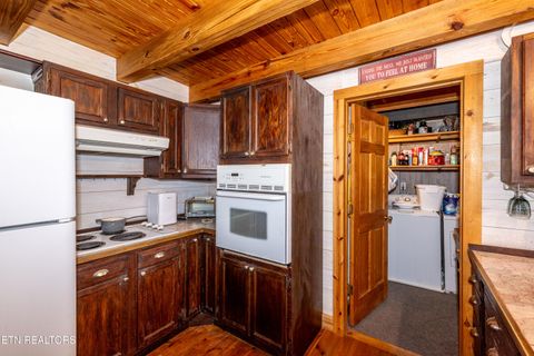 Tiny photo for 311 Domar Drive, Townsend, TN 37882 (MLS # 1303486)