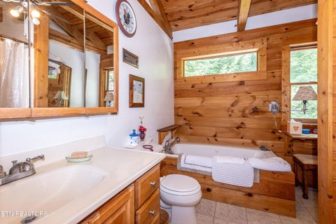 Tiny photo for 311 Domar Drive, Townsend, TN 37882 (MLS # 1303486)