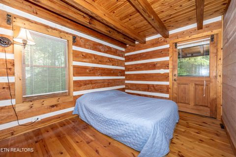 Tiny photo for 311 Domar Drive, Townsend, TN 37882 (MLS # 1303486)