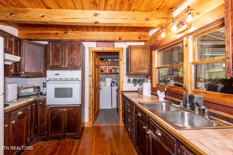 Tiny photo for 311 Domar Drive, Townsend, TN 37882 (MLS # 1303486)