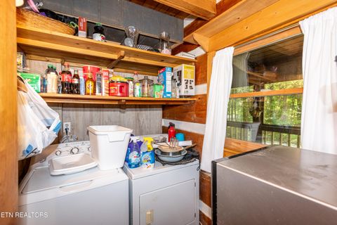 Tiny photo for 311 Domar Drive, Townsend, TN 37882 (MLS # 1303486)