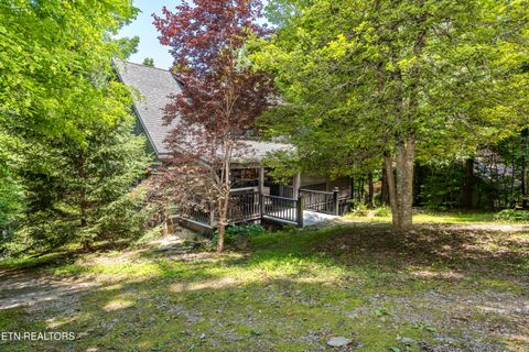 Tiny photo for 311 Domar Drive, Townsend, TN 37882 (MLS # 1303486)