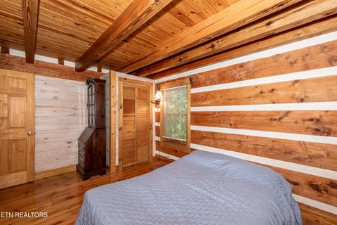 Tiny photo for 311 Domar Drive, Townsend, TN 37882 (MLS # 1303486)