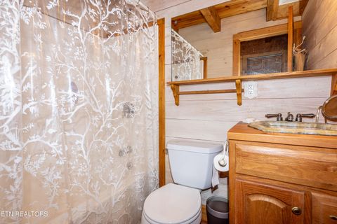 Tiny photo for 311 Domar Drive, Townsend, TN 37882 (MLS # 1303486)