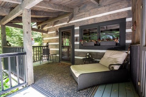 Tiny photo for 311 Domar Drive, Townsend, TN 37882 (MLS # 1303486)