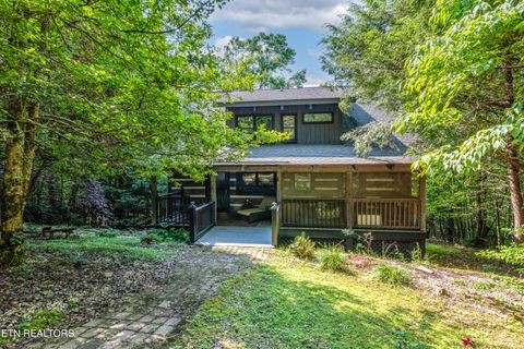 311 Domar Drive Townsend TN 37882