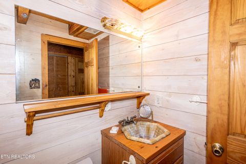 Tiny photo for 311 Domar Drive, Townsend, TN 37882 (MLS # 1303486)