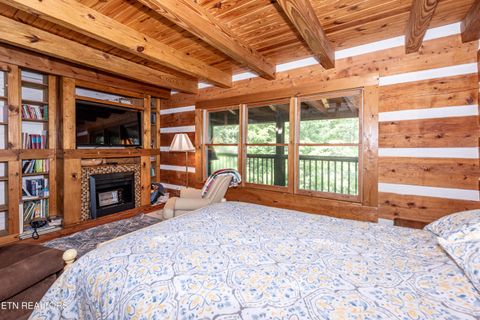 Tiny photo for 311 Domar Drive, Townsend, TN 37882 (MLS # 1303486)