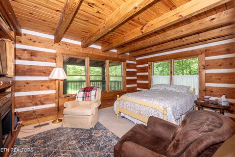 Tiny photo for 311 Domar Drive, Townsend, TN 37882 (MLS # 1303486)