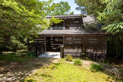 Tiny photo for 311 Domar Drive, Townsend, TN 37882 (MLS # 1303486)
