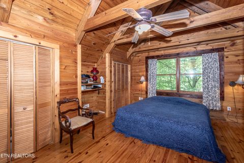 Tiny photo for 311 Domar Drive, Townsend, TN 37882 (MLS # 1303486)