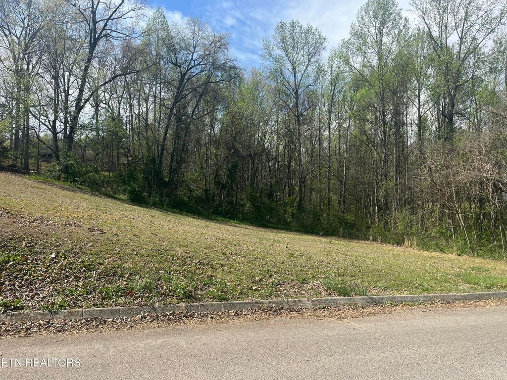Photo of Whipporwill Circle, Seymour, TN 37865 (MLS # 1336540)