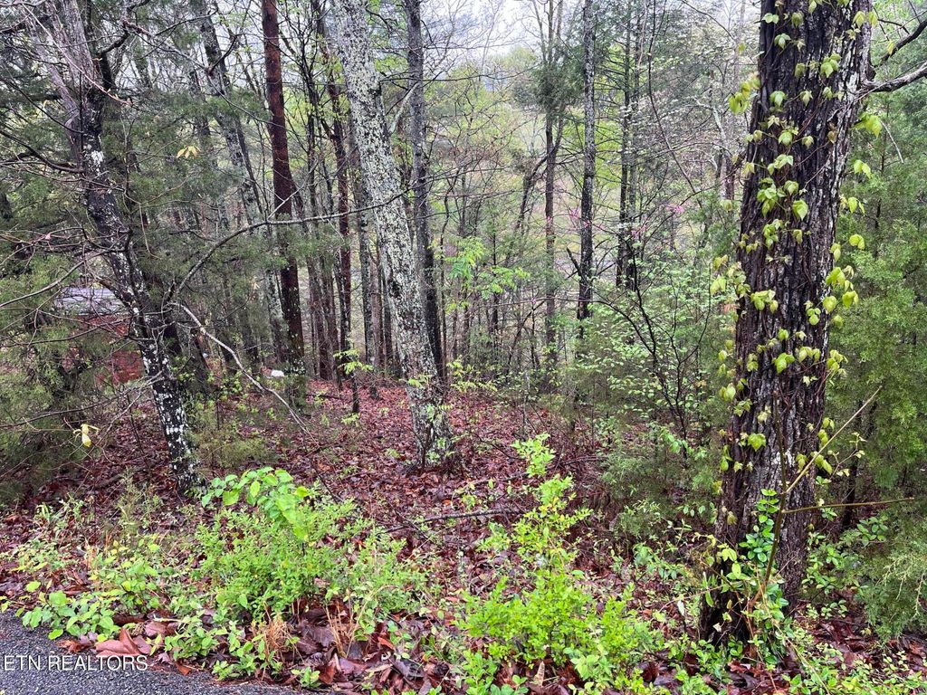 Photo of 1 Mountain View Drive, Pigeon Forge, TN 37863 (MLS # 1296413)