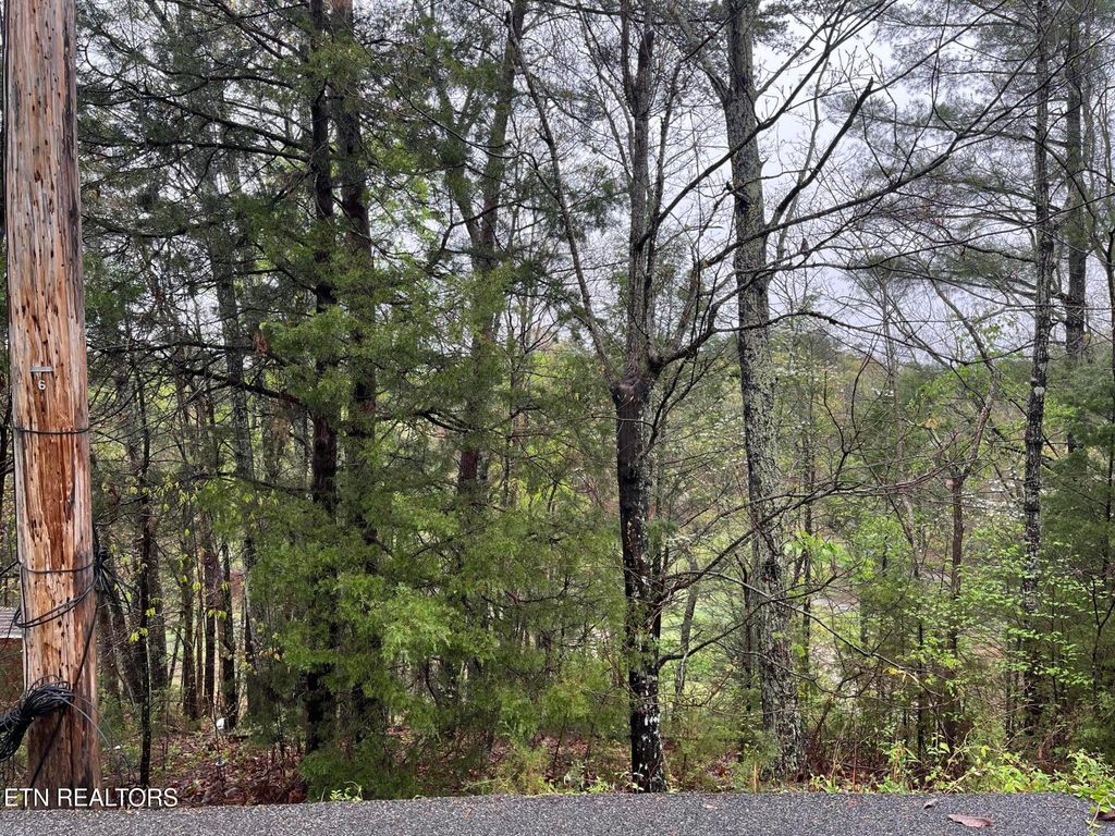 Photo of 1 Mountain View Drive, Pigeon Forge, TN 37863 (MLS # 1296413)