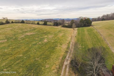 Tiny photo for 6975 Saint Clair Rd, Whitesburg, TN 37891 (MLS # 1325255)