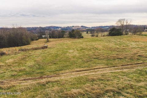 Tiny photo for 6975 Saint Clair Rd, Whitesburg, TN 37891 (MLS # 1325255)