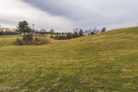 Photo of 6975 Saint Clair Rd, Whitesburg, TN 37891 (MLS # 1325255)