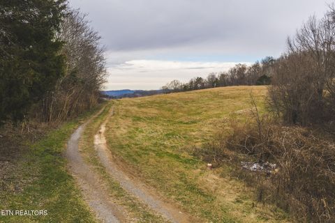 Tiny photo for 6975 Saint Clair Rd, Whitesburg, TN 37891 (MLS # 1325255)