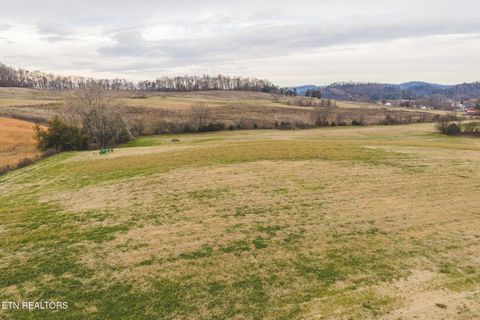 Tiny photo for 6975 Saint Clair Rd, Whitesburg, TN 37891 (MLS # 1325255)