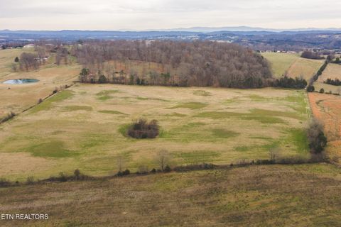 Tiny photo for 6975 Saint Clair Rd, Whitesburg, TN 37891 (MLS # 1325255)