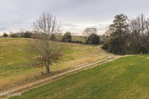 Tiny photo for 6975 Saint Clair Rd, Whitesburg, TN 37891 (MLS # 1325255)