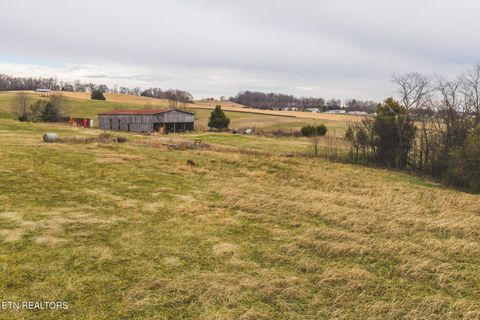 Tiny photo for 6975 Saint Clair Rd, Whitesburg, TN 37891 (MLS # 1325255)