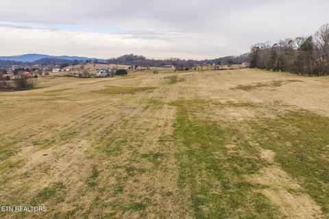 Tiny photo for 6975 Saint Clair Rd, Whitesburg, TN 37891 (MLS # 1325255)