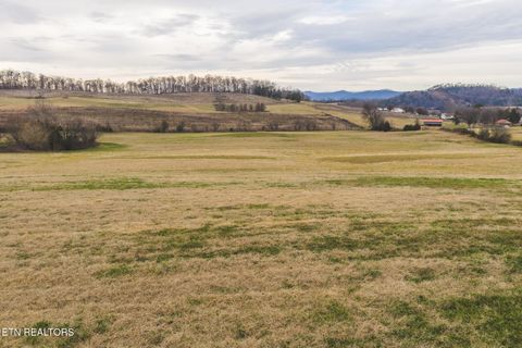 Tiny photo for 6975 Saint Clair Rd, Whitesburg, TN 37891 (MLS # 1325255)