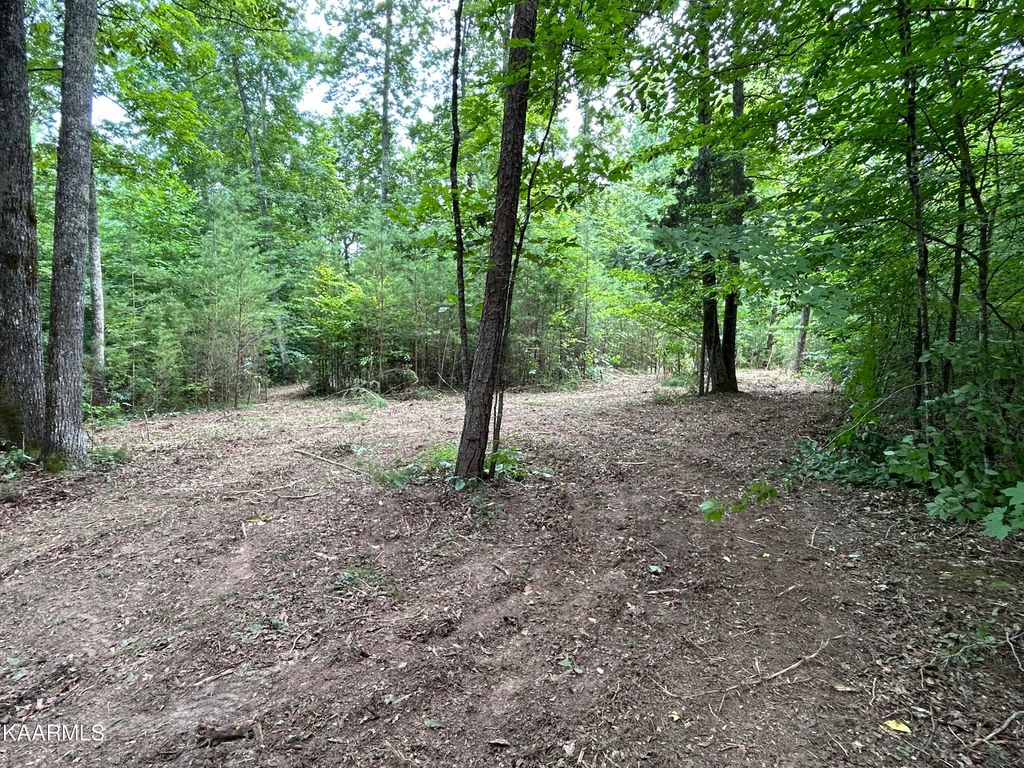 Photo of Hinds Creek Rd, Heiskell, TN 37754 (MLS # 1233166)