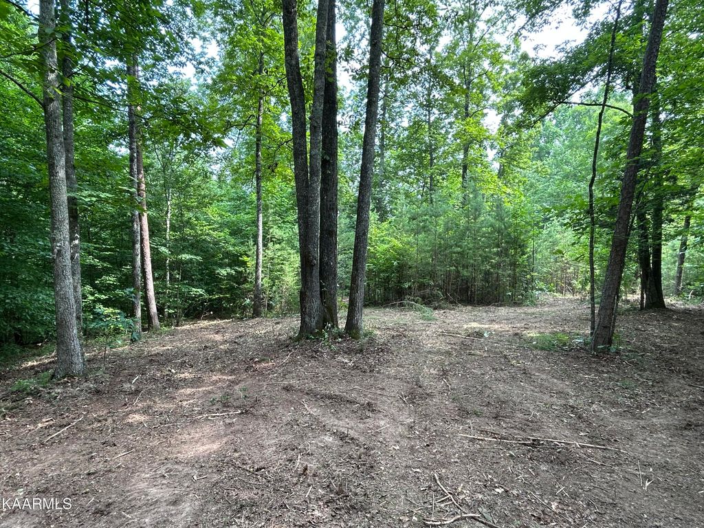 Photo of Hinds Creek Rd, Heiskell, TN 37754 (MLS # 1233166)