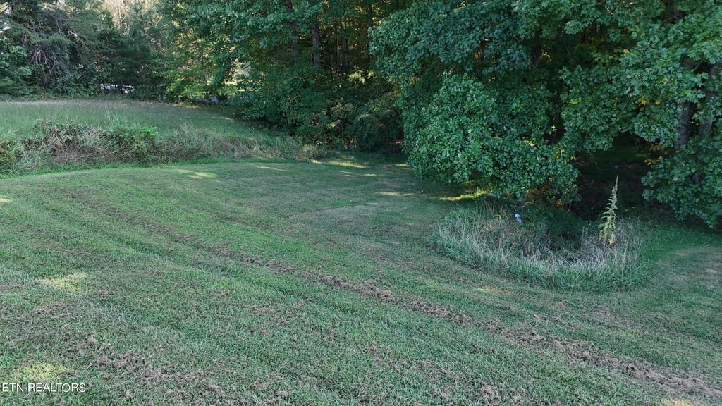 Photo of 7418 Ridge Haven Court, Corryton, TN 37721 (MLS # 1274536)