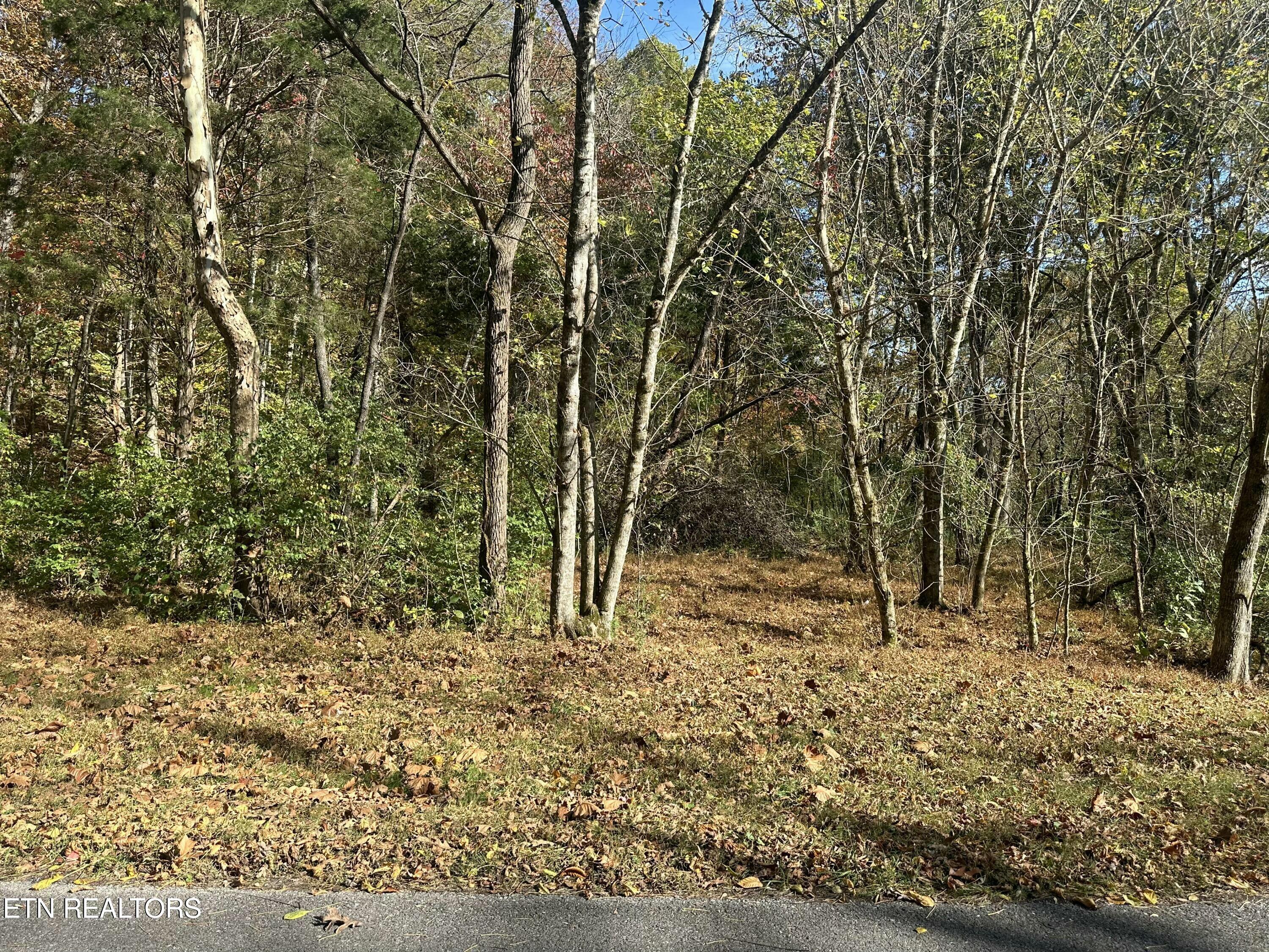 Loudon, Tennessee 37774, United States, ,Land,Pending,117762